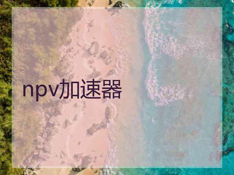 npv加速器