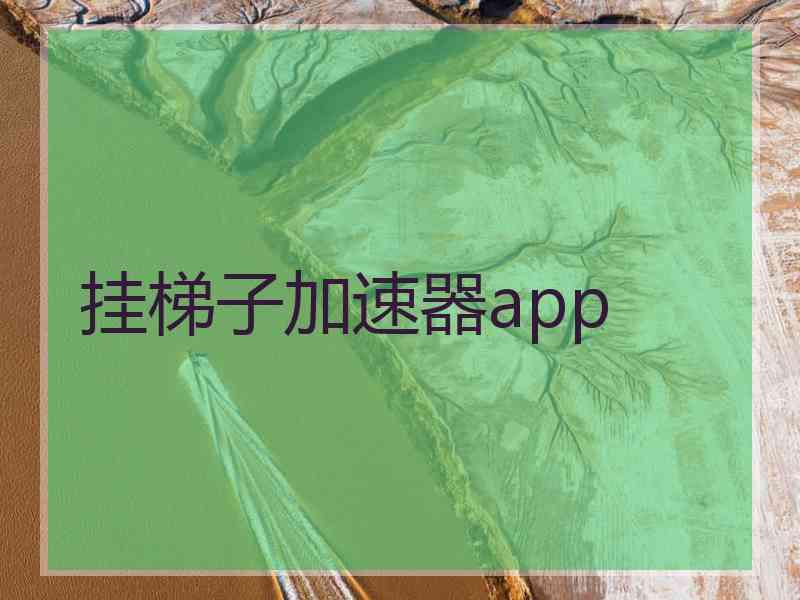 挂梯子加速器app