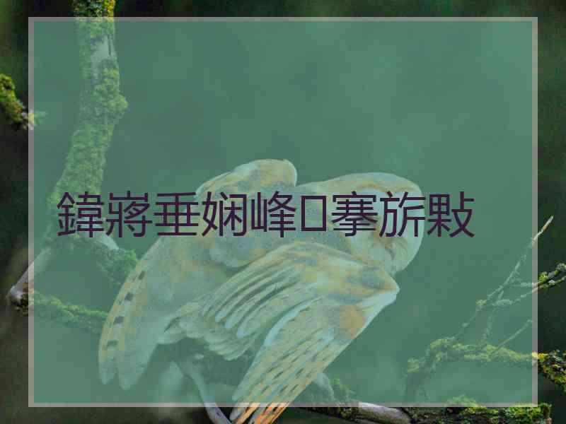 鍏嶈垂娴峰搴旂敤