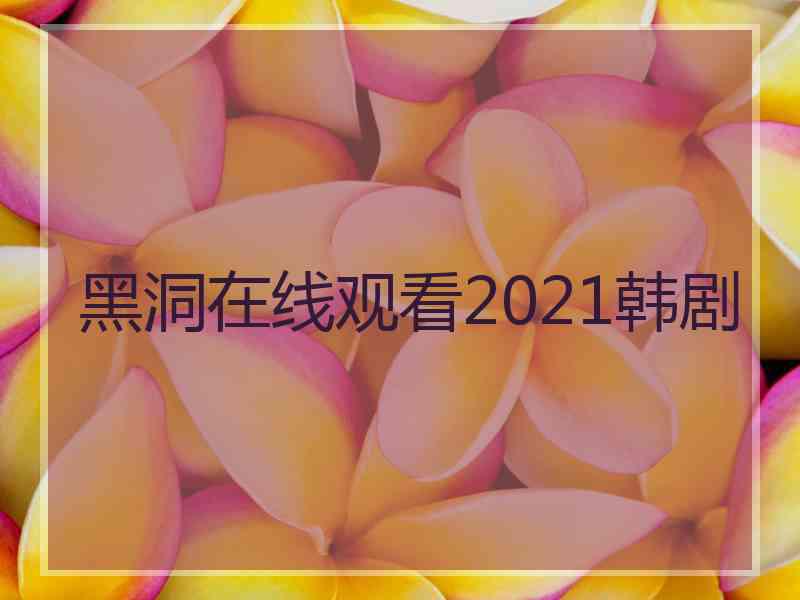 黑洞在线观看2021韩剧