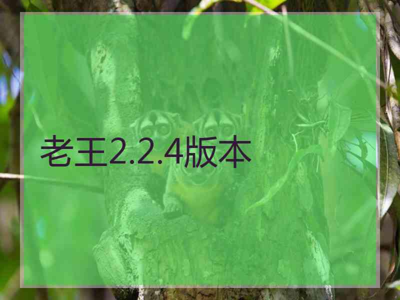 老王2.2.4版本