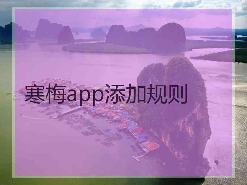 寒梅app添加规则