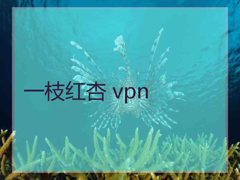 一枝红杏 vpn