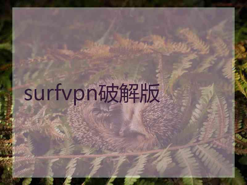 surfvpn破解版