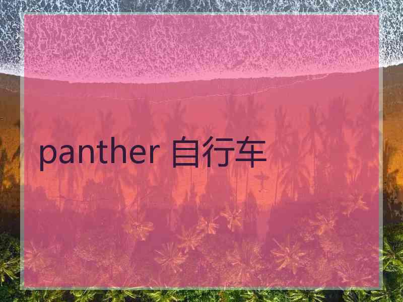 panther 自行车