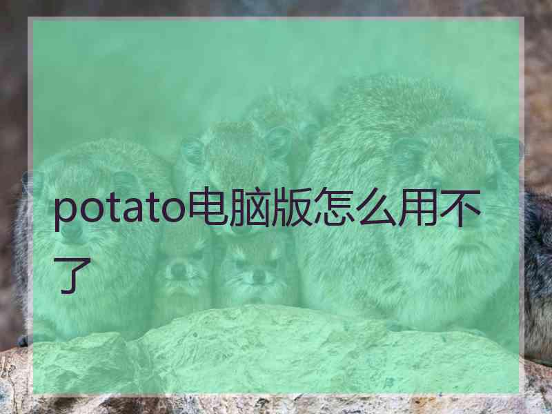 potato电脑版怎么用不了