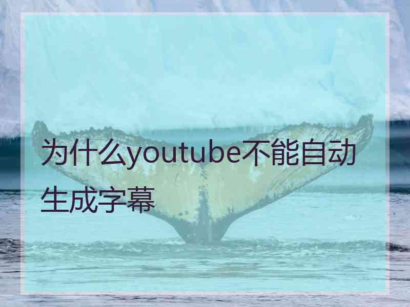 为什么youtube不能自动生成字幕