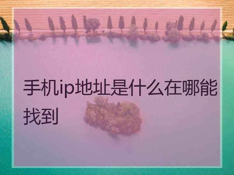 手机ip地址是什么在哪能找到