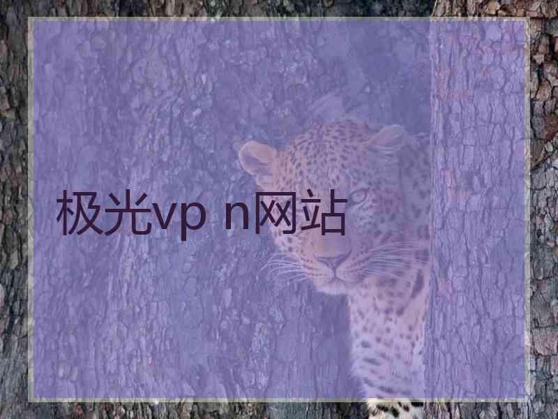 极光vp n网站