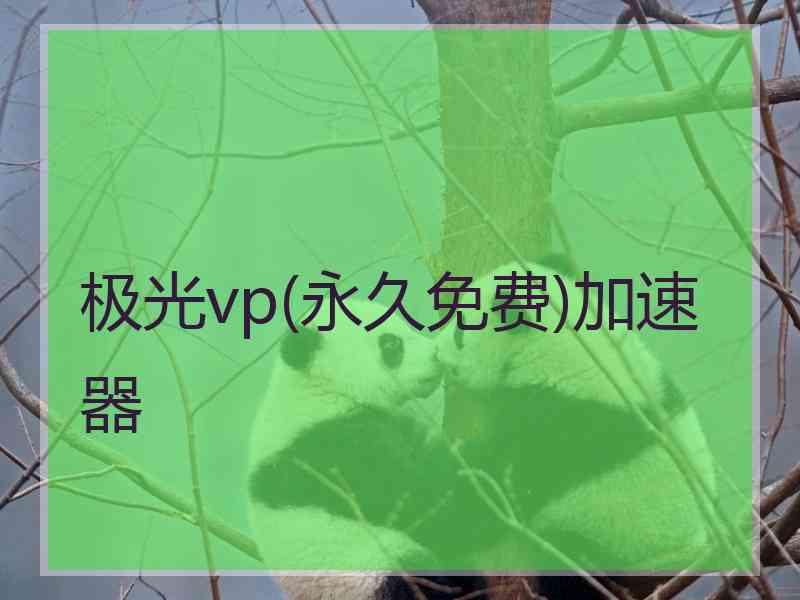 极光vp(永久免费)加速器