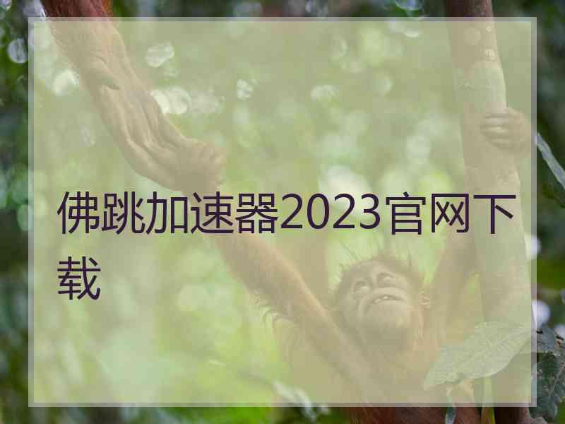 佛跳加速器2023官网下载