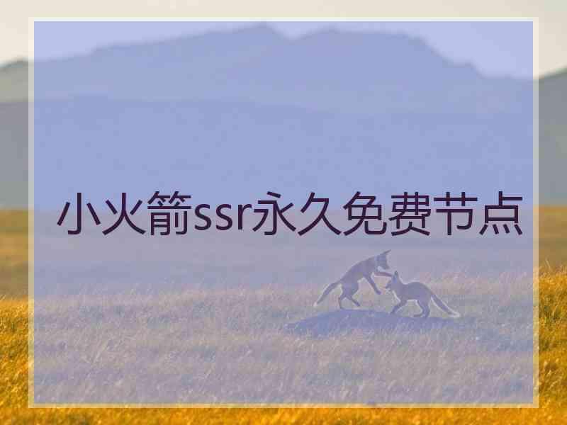 小火箭ssr永久免费节点