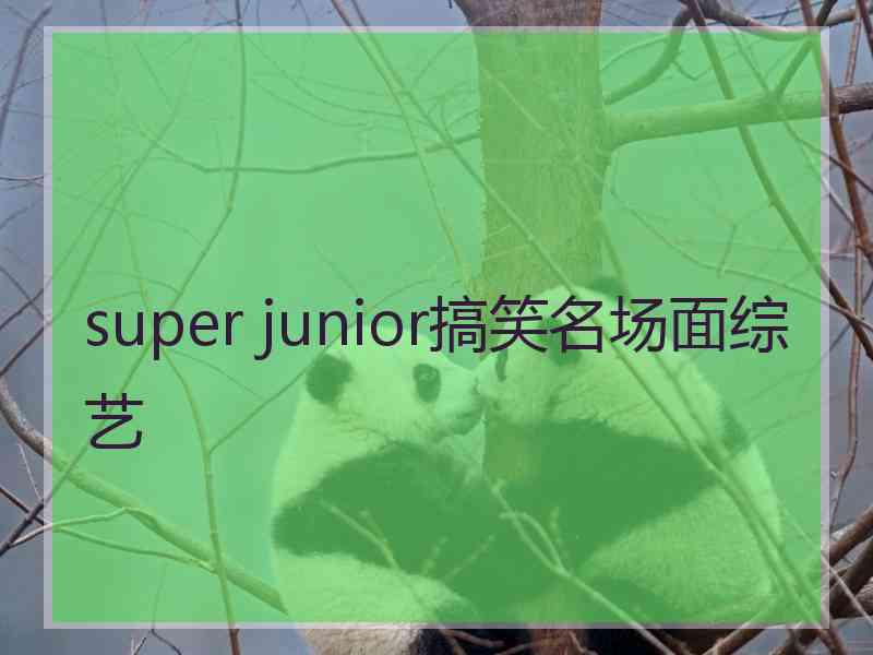 super junior搞笑名场面综艺