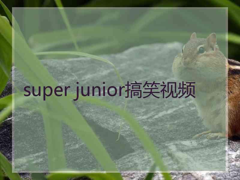 super junior搞笑视频