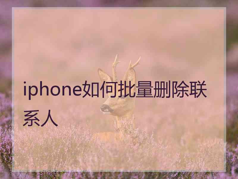 iphone如何批量删除联系人