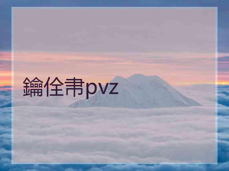 鑰佺帇pvz