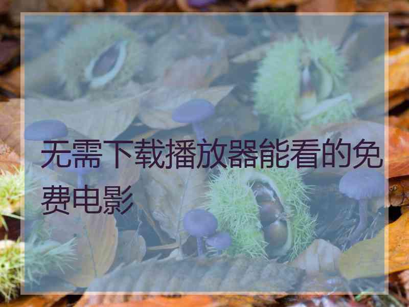 无需下载播放器能看的免费电影