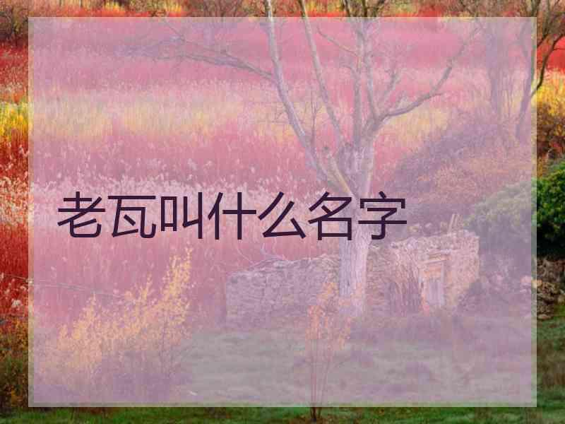 老瓦叫什么名字