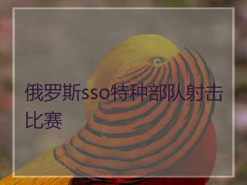 俄罗斯sso特种部队射击比赛