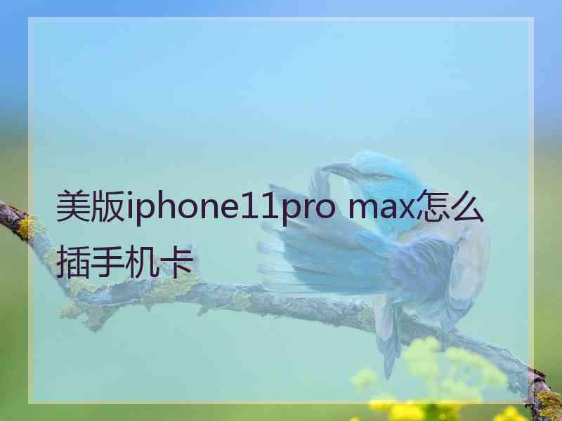 美版iphone11pro max怎么插手机卡