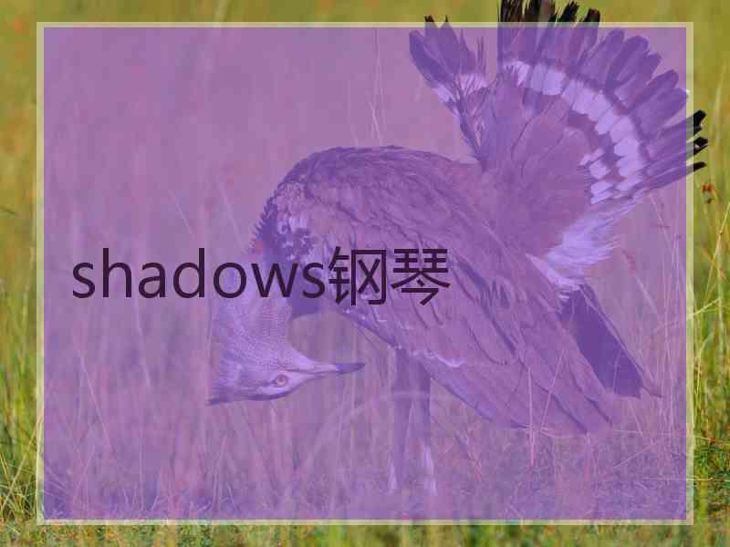 shadows钢琴