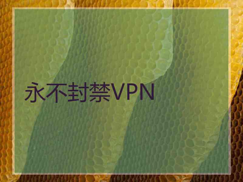 永不封禁VPN