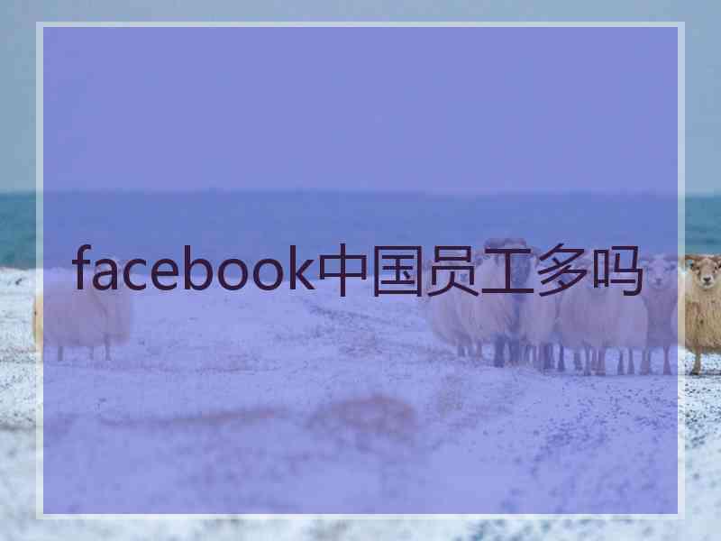 facebook中国员工多吗