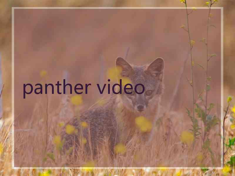 panther video