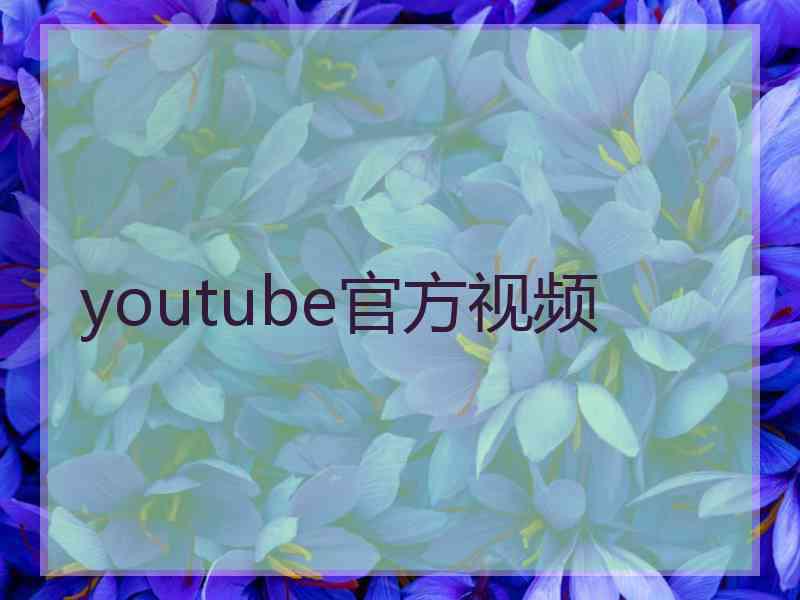 youtube官方视频