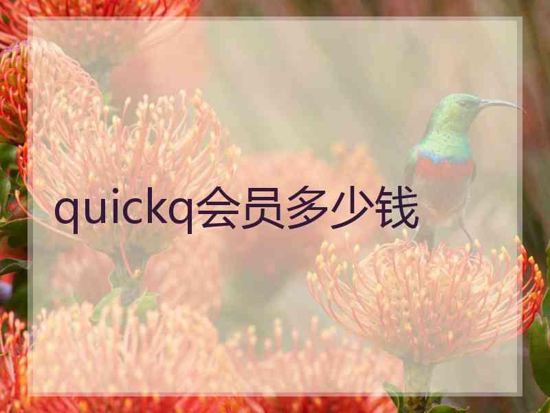 quickq会员多少钱