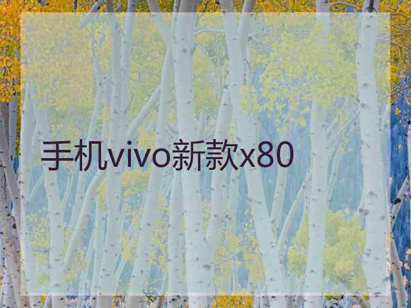 手机vivo新款x80