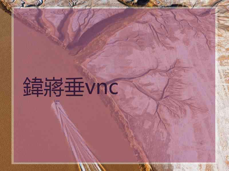 鍏嶈垂vnc