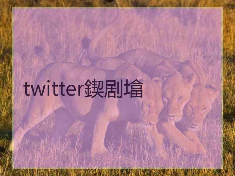 twitter鍥剧墖