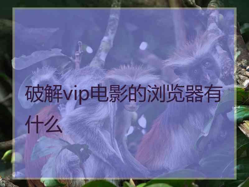 破解vip电影的浏览器有什么