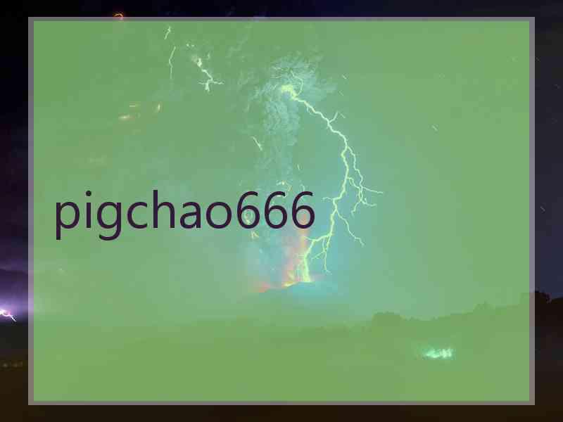 pigchao666