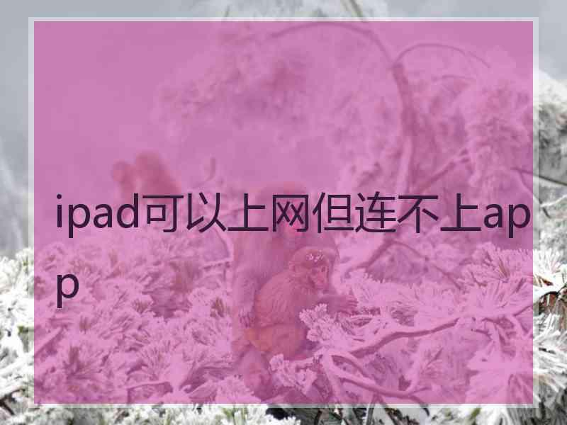 ipad可以上网但连不上app