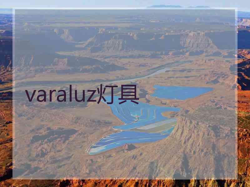 varaluz灯具