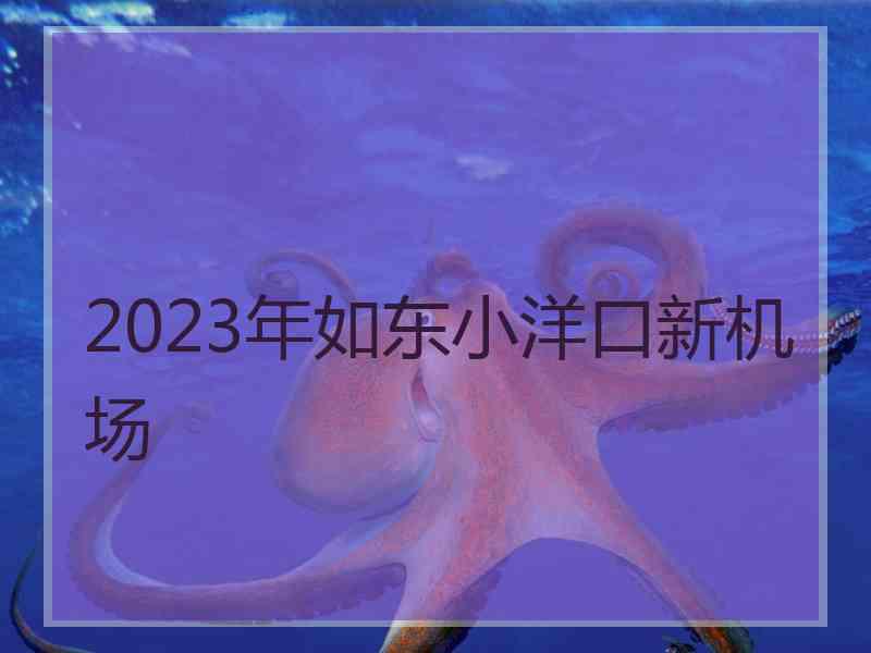 2023年如东小洋口新机场