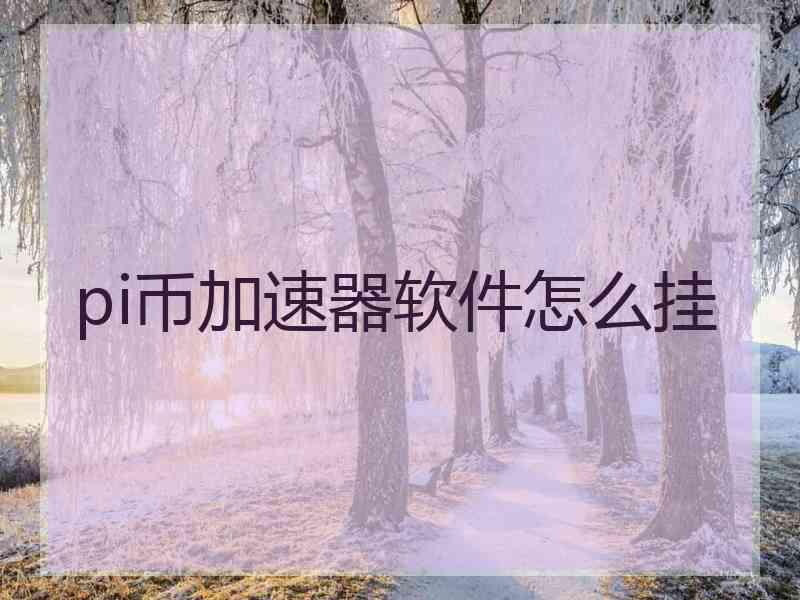 pi币加速器软件怎么挂