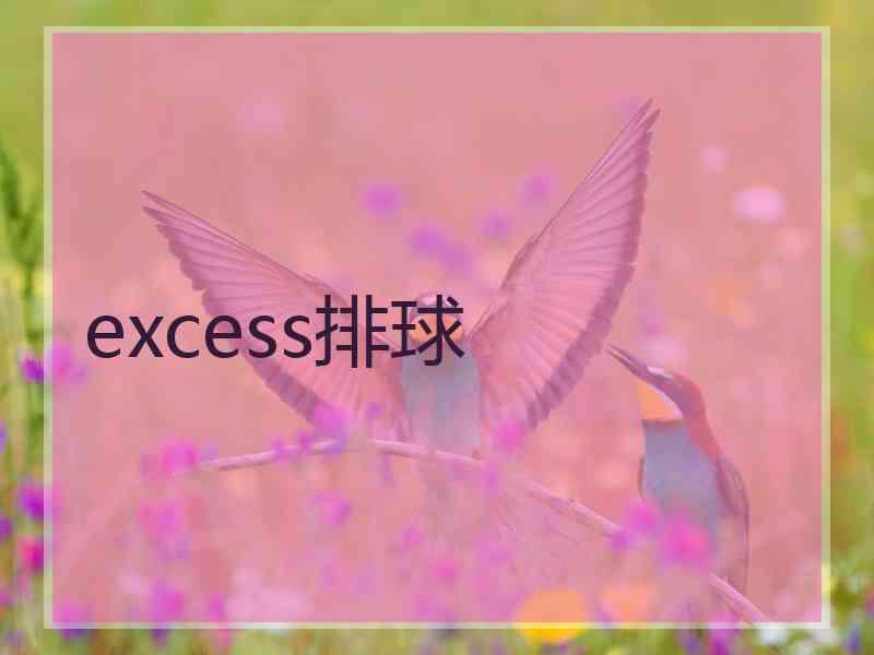 excess排球