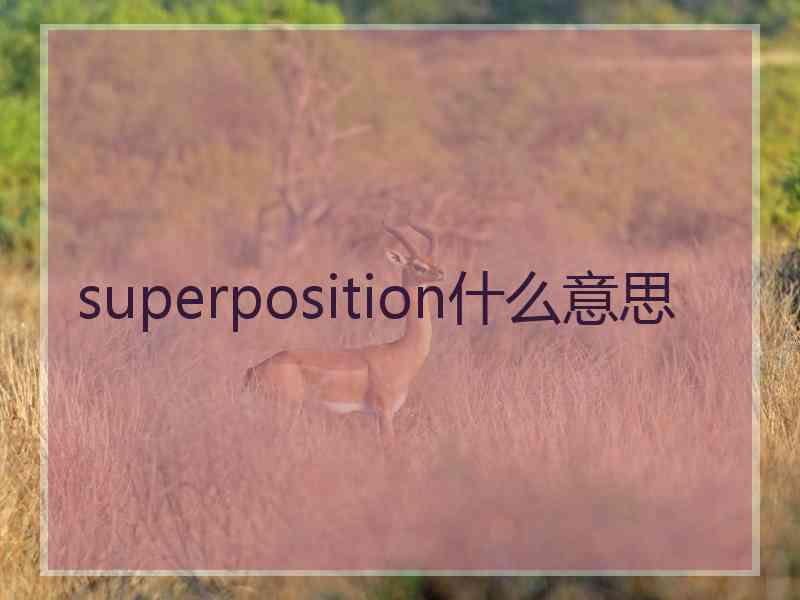 superposition什么意思