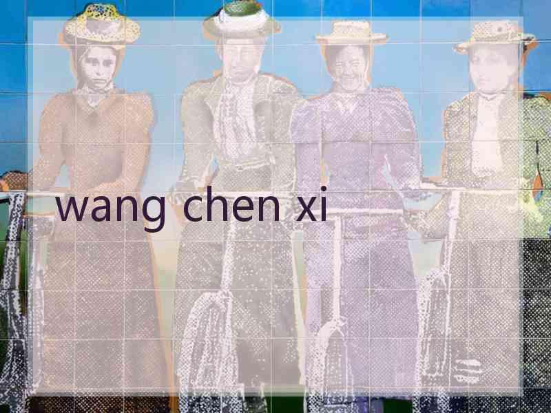 wang chen xi