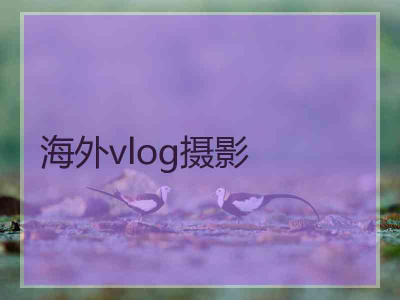 海外vlog摄影