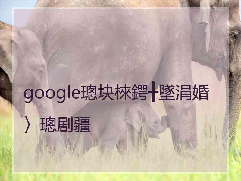 google璁块棶鍔╂墜涓婚〉璁剧疆