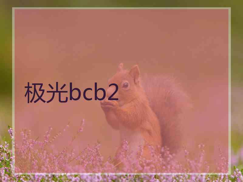 极光bcb2