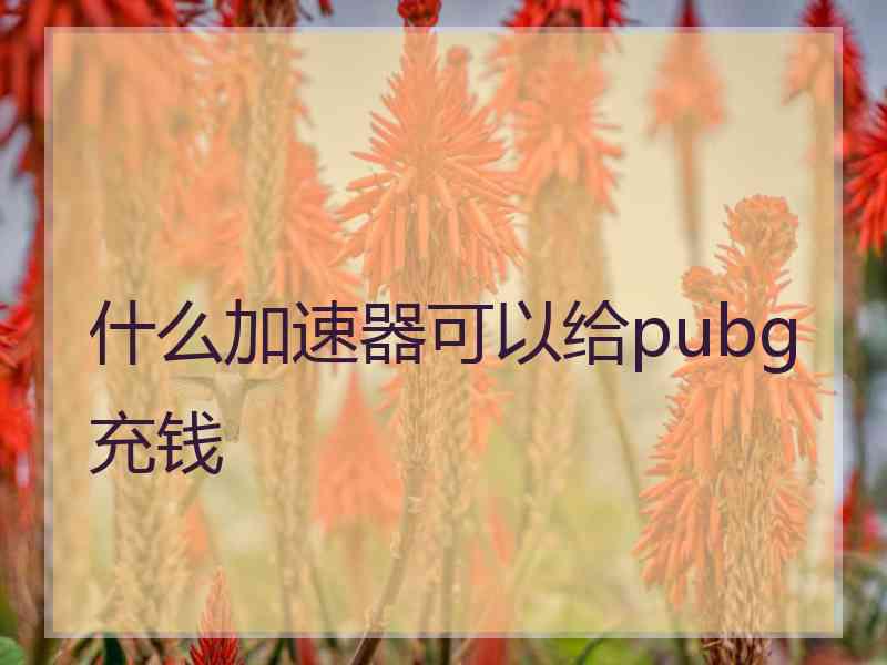 什么加速器可以给pubg充钱