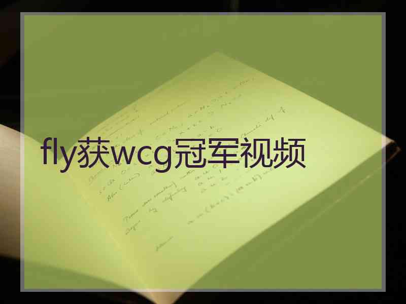 fly获wcg冠军视频