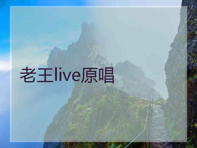 老王live原唱