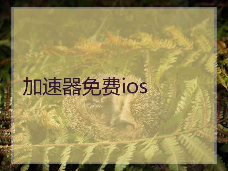 加速器免费ios