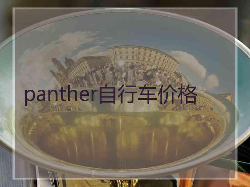 panther自行车价格